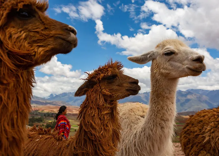 Tambo Del Inka, A Luxury Collection & Spa, Valle Sagrado Resort 5*